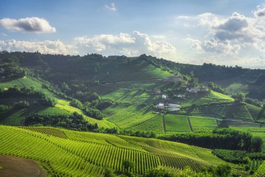 Serralunga d 'Alba yakınlarındaki Langhe bölgesinde kayan tepelerin ve yemyeşil üzüm bağlarının panoramik manzarası. İtalya 'nın Piedmont şehrinde ünlü bir şarap yetiştirme bölgesi.