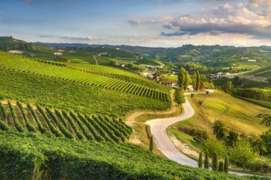 Alba yakınlarındaki Langhe 'nin sarmal tepelerinden ve üzüm bağlarından geçen dolambaçlı bir yolun panoramik görüntüsü. Piedmont, İtalya 'da Unesco Dünya Mirası şarap bölgesi