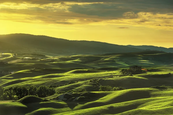 Tuscany musim semi, bukit bergulir saat matahari terbenam. Lanskap pedesaan. Hijau — Stok Foto