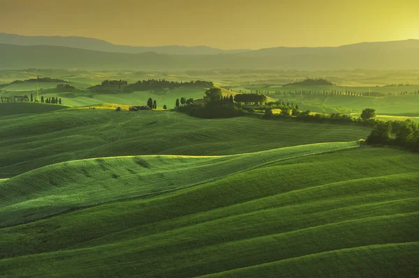 Tuscany wiosna, pagórków, na mglisty zachód słońca. Wiejski krajobraz. — Zdjęcie stockowe