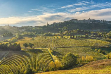 Montepulciano kasabası ve Nobile şarap bağlarının panoramik sabah manzarası. Val di Chiana, Siena, Toskana, İtalya 'nın engebeli tepelerinde altın gün doğumu ışığı