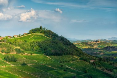 Bricco Lu panoramik tepenin üzüm bağlarıyla kaplı manzarası. Costigliole d 'Asti, Piedmont, İtalya' daki Monferrato şarap bölgesinin güzel manzarası