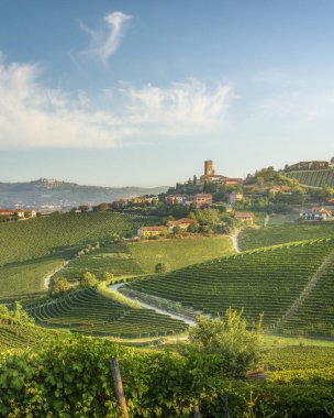 Barbaresco köyünün ve ortaçağ kulesinin sabah manzarası. Langhe şarap bölgesinde üzüm bağları olan Rolling Hills, Piedmont, İtalya. Unesco Dünya Mirası
