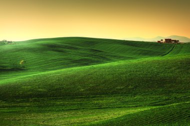 Tuscany Bahar, sunset bulvarında tepeler haddeleme. Kırsal manzara. Yeşil