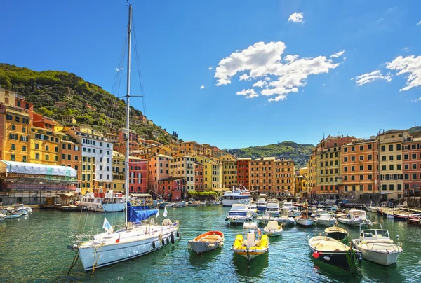 Camogli porto marina, barcos e casas coloridas típicas. Ligúria — Fotografia de Stock