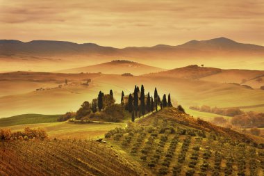 Tuscany sisli sabah, tarım arazileri ve servi ağaçları. İtalya.