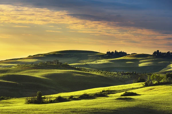 Printemps toscan, collines vallonnées au coucher du soleil . — Photo