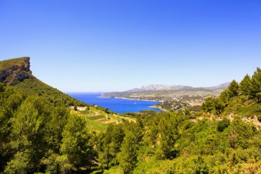 Cassis route des ekolojikolarak doğal yoldan defne. Cote Azur, Provenc