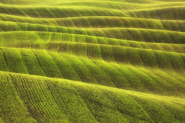 Campo e binari texture astratta in inverno. Toscana, Italia — Foto Stock