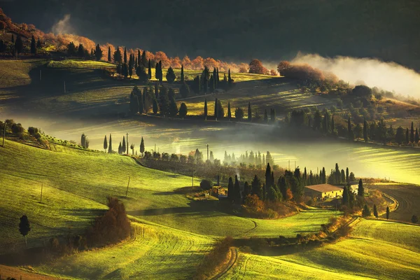 Toscana niebla mañana, tierras de cultivo y cipreses. Italia . — Foto de Stock