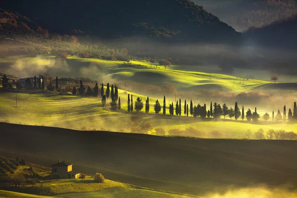 Tuscany mgliste rano, pola uprawne i cyprysów drzewa. Włochy. — Zdjęcie stockowe