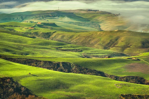 Tuscany mistige ochtend, landbouwgrond en groene velden. Italië. — Stockfoto