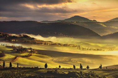 Tuscany sisli sabah, tarım arazileri ve servi ağaçları. İtalya.