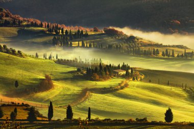 Tuscany sisli sabah, tarım arazileri ve servi ağaçları. İtalya.