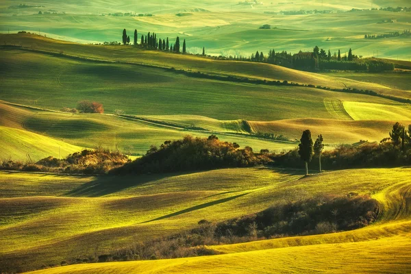 Toskana Frühling, sanfte Hügel bei nebligem Sonnenuntergang. Ländliche Landschaft. — Stockfoto