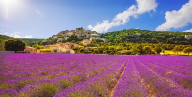 Simiane la Rotonde village and lavender panorama. Provence, Fran clipart