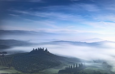 Tuscany mavi sisli sabah, tarım arazileri ve servi ağaçları. İtalya.
