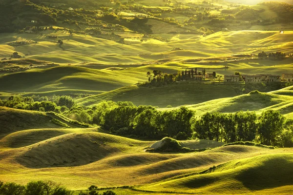 Tuscany wiosna, pagórków, na zachód słońca. Wiejski krajobraz. Zielony — Zdjęcie stockowe