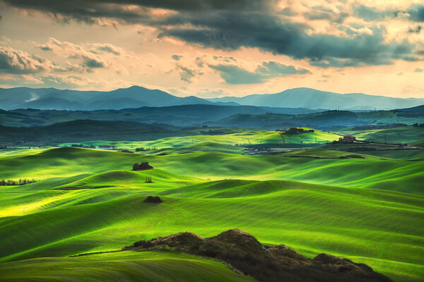 Primavera Toscana, colinas onduladas al atardecer. Paisaje rural. Verde — Foto de Stock