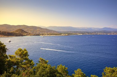 Cannes La Napoule defne görünümü. Fransız Riviera, Azure sahil, Provenc