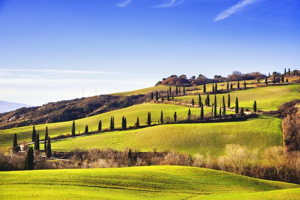 Cypress stromy malebná silnice. Siena, Toskánsko, Itálie. — Stock fotografie