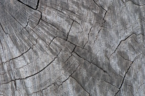 Фон старого дерева, текстура старого дерева . — стоковое фото