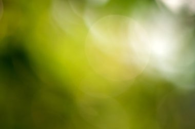 Bir arka plan yeşil bokeh üzerinde bokeh etkisi.
