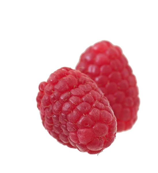 Himbeeren isoliert auf weißem Hintergrund, Früchte. — Stockfoto