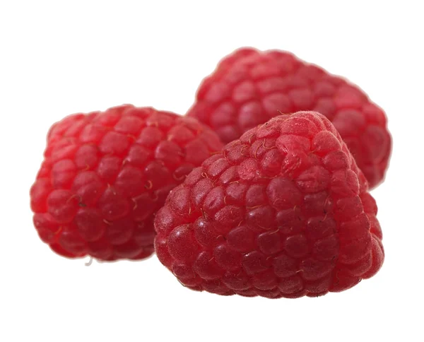 Himbeeren isoliert auf weißem Hintergrund, Früchte. — Stockfoto