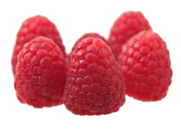 Himbeeren isoliert auf weißem Hintergrund, Früchte. — Stockfoto