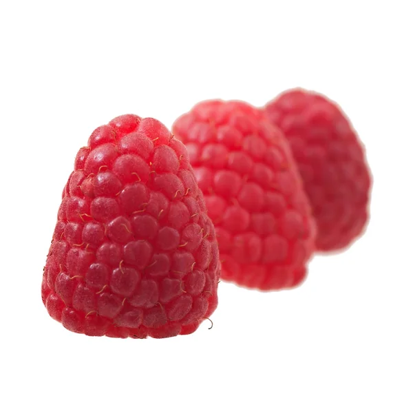 Himbeeren isoliert auf weißem Hintergrund, Früchte. — Stockfoto