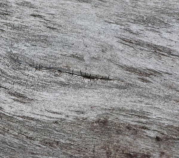 Fundo de madeira velha, textura madeira velha — Fotografia de Stock