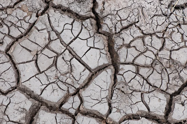 Сухая почва, абстрактный фон сухой почвы . — стоковое фото