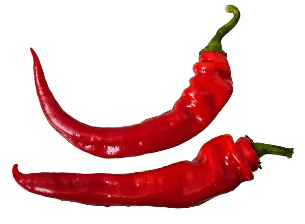 Varm röd paprika isolerad på vit bakgrund. — Stockfoto