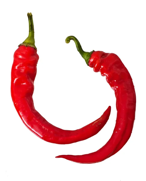 Varm röd paprika isolerad på vit bakgrund. — Stockfoto