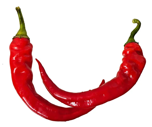 Varm röd paprika isolerad på vit bakgrund. — Stockfoto