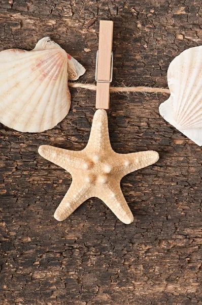 Étoile de mer et coquillages sur un vieux fond en bois — Photo