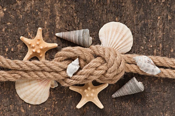 Étoile de mer et coquillages sur un vieux fond en bois — Photo