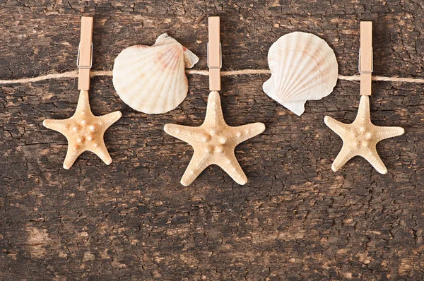 Estrella de mar y conchas sobre fondo de madera viejo — Foto de Stock