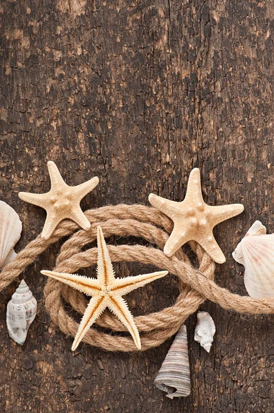 Starfish and shells on old wooden background — Stock Photo, Image