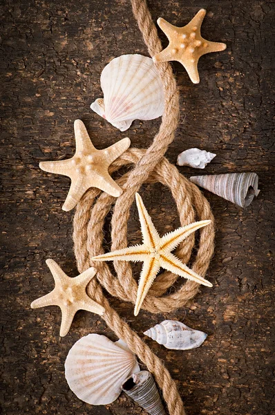 Seesterne, Muscheln und Seil auf altem Holzgrund — Stockfoto