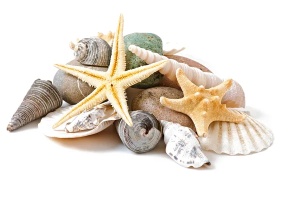 Starfish, schelpen en stenen — Stockfoto