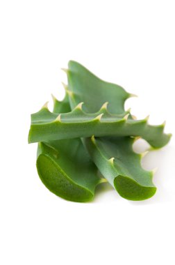 Yeşil yaprak aloe vera