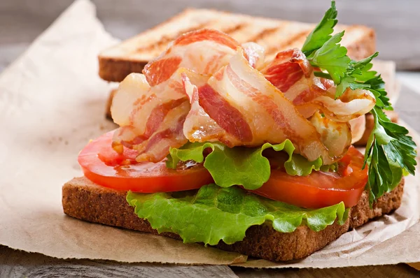 Grande panino caldo — Foto Stock