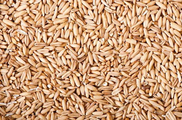 麦粒の背景 — ストック写真