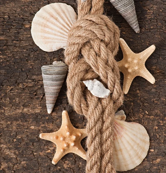 Seesterne, Muscheln und Seil auf altem Holzgrund — Stockfoto
