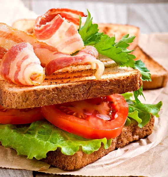 Sıcak büyük sandviç