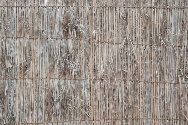 Ściana z liści palmowych — Zdjęcie stockowe