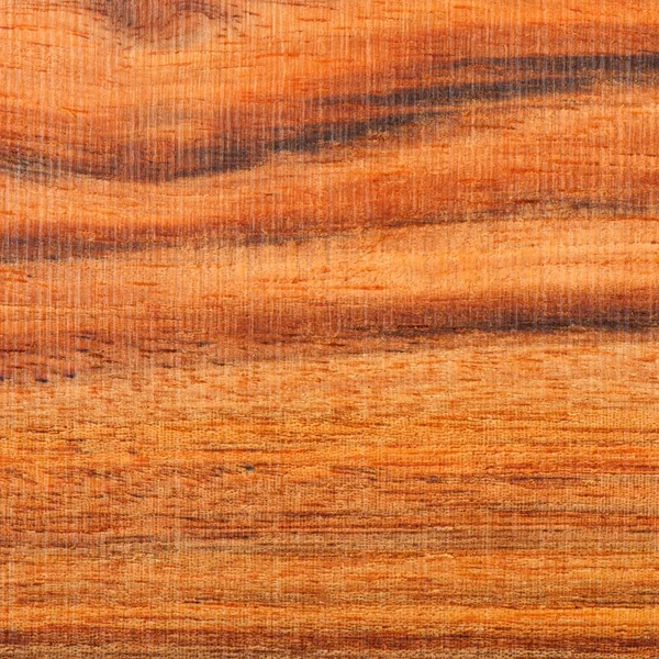 Background of wood, texture wood — Stock Photo, Image