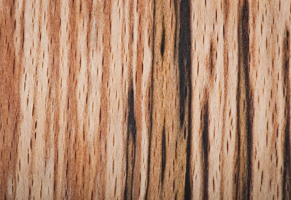 Background of wood, texture wood — Stock Photo, Image